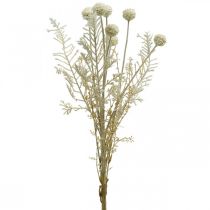 Product Dry grasses artificial pampas grass allium cream, beige H60cm