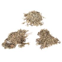 Product Natural Grey Moss for Crafting and Home Decoration 500g