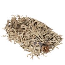 Product Natural Grey Moss for Crafting and Home Decoration 500g