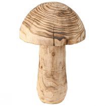 Product Large wooden mushroom decoration mushroom wood Paulownia Ø21cm H33cm