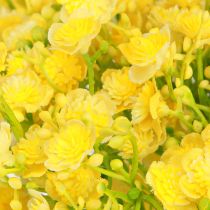 Product Gypsophila paniculate yellow flowers L46cm 4 pcs
