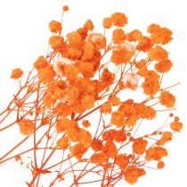 Product Orange Gypsophila Dried Flower Bouquet 75cm 100g for Indoor Decoration