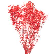 Product Dried Baby's Breath (Gypsophila) Bunch 75cm 100g