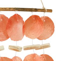 Product Hanging decoration maritime Capiz shells driftwood 28x66cm