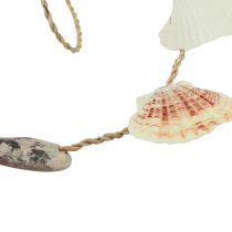 Product Hanging decoration maritime shell decoration natural 110cm Ø5–10cm