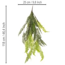 Product **Artificial Fern Stem 118cm for Decorative Indoor and Outdoor Use**
```html
<h2>Artificial Fern Stem 118cm for Stylish Home Décor</h2>
<p>This artificial fern stem, with an impressive length of 118cm, is a versatile decoration piece for enhancing your