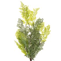 Product Artificial Fern Stem for Vases 80cm Green
```html
<h2>Artificial Fern Stem for Home Decoration</h2>
<p>
This artificial fern stem is a versatile decorative piece designed to complement any indoor setting. Measuring 80cm in length, it features a beautifu