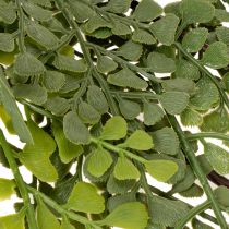 Product Artificial Fern Stem for Vases 80cm Green
```html
<h2>Artificial Fern Stem for Home Decoration</h2>
<p>
This artificial fern stem is a versatile decorative piece designed to complement any indoor setting. Measuring 80cm in length, it features a beautifu
