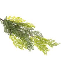 Product Artificial Fern Stem for Vases 80cm Green
```html
<h2>Artificial Fern Stem for Home Decoration</h2>
<p>
This artificial fern stem is a versatile decorative piece designed to complement any indoor setting. Measuring 80cm in length, it features a beautifu