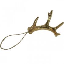 Product Christmas Decoration Antler Tree Decoration Gold 7.5cm 6 Pcs