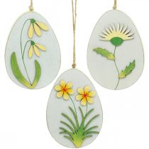 Product Eggs to hang, wooden Easter eggs, flower motif, dandelion snowdrop Winterling H14cm 3pcs