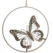 Product Wall decoration butterfly decoration metal ring rose Ø38cm