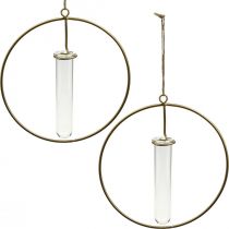 Product Decorative ring for hanging test tube golden metal Ø16cm 4pcs
