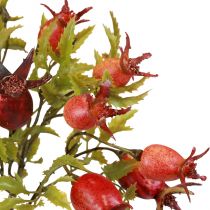 Rosehip Deco Rosehip Branches Artificial L48cm 3pcs