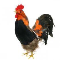 Decorative rooster with feathers decorative figure Easter shop window decoration H30cm