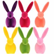 Product Bunny flocked colorful H13cm assorted 6 pieces
