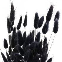 Product Hare&#39;s Tail Grass Lagurus Dried Black 60cm 50g