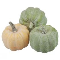 Autumn decoration pumpkins whitened orange, green 7.5cm 6pcs