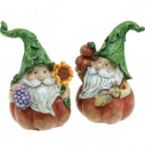 Autumn gnome pumpkin decoration gnome figure assorted H11.5cm 2pcs