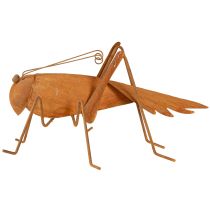 Product Grasshopper Garden Decoration Rust Metal Décor 26cm