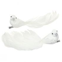 Product Wedding decoration doves as a pair of doves on clip white 22cm 2 pcs