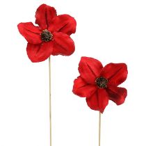 Product Wooden flower as a plug red Ø9cm - 12cm L45cm 15pcs