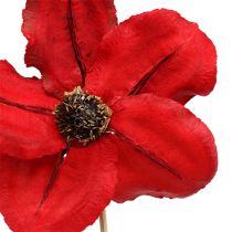 Product Wooden flower as plug red Ø9cm - 12cm L45cm 15 pcs
