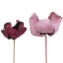 Product Wooden flower, palm cup mix pink-erika 25 pcs