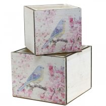 Plant boxes with bird print, planter, spring, decorative box for planting, vintage look L17/15cm H13/11cm set of 2