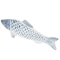 Product Wooden fish in blue and white, fish decoration, wood flour, 35cm, 1 piece