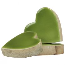 Product Wooden hearts decorative hearts wood light green glossy effect 4.5cm 8pcs