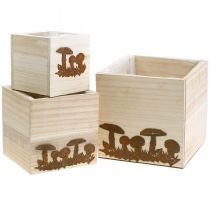 Product Plant cubes, flower box, autumn decoration with patina 20/16/12cm set of 3