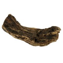 Wood root nature 6cm-13cm 500g
