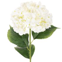 Product Artificial Hydrangea Long Stem 60cm Cream White