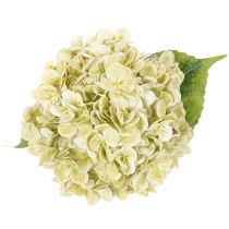Product Artificial Hydrangea Flower with Long Stem and Green Leaves 60cm