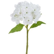 Hydrangea 35cm white