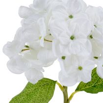Hydrangea 35cm white