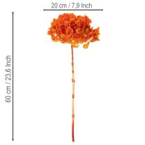 Product Preserved Hydrangea 60cm Long Stem Dyed in Orange