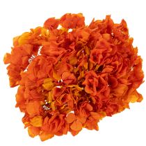 Product Preserved Hydrangea 60cm Long Stem Dyed in Orange