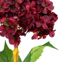 Product Hydrangea artificial dark red 80cm 1pc