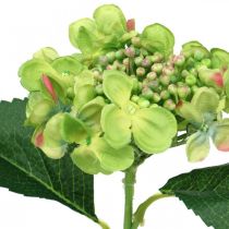 Product Artificial hydrangea, flower decoration, silk flower green L44cm