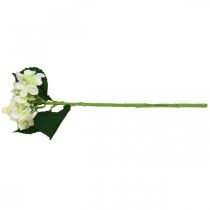 Product Hydrangea, silk flower, artificial flower for table decorations white, green L44cm