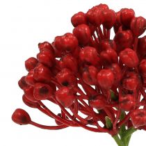 Product Hydrangea bud pick 22cm red 12pcs