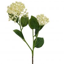 Hydrangea bud branch 55cm cream 6pcs