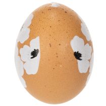 Product Easter egg hanging decoration, spring, Easter, real chicken eggs, natural, 6cm, 6 pieces