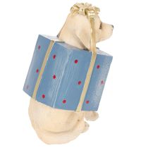 Product Dekofigur Sitting Puppy in Gift Box Resin 20cm