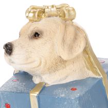 Product Dekofigur Sitting Puppy in Gift Box Resin 20cm