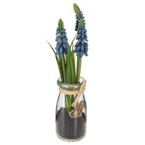 Product Hyacinth artificial Pearl hyacinth blue in glass H22cm 2pcs