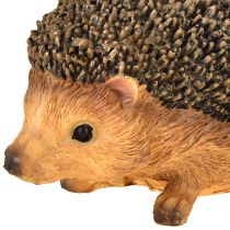 Product Hedgehog Animal figurine Hand-painted Brown 14×9.5×9cm