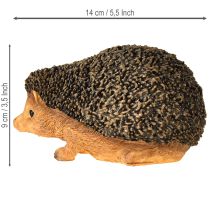 Product Hedgehog Animal figurine Hand-painted Brown 14×9.5×9cm